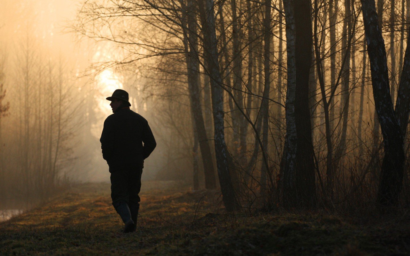 nature, Trees, Walk, Men Wallpaper