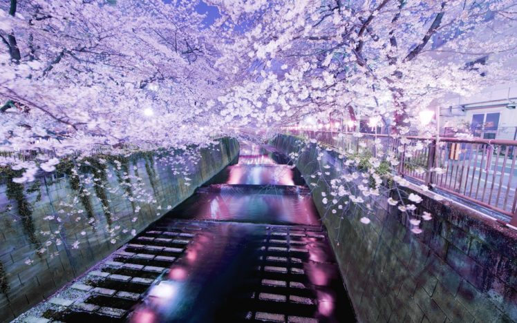 japan, Asian, Oriental, Canal, Water, Waterway, Waterfalls, Reflection, Color, Trees, Blossoms, Flowers, Night, Lights, Soft, Garden, Path, Sidewalk, Buildings, Purple, Shine, Photography, Hdr, Fence, Leaves HD Wallpaper Desktop Background