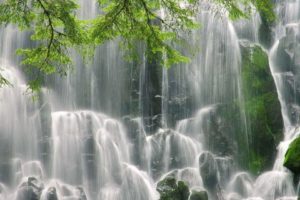 landscapes, Nature, Trees, Waterfalls