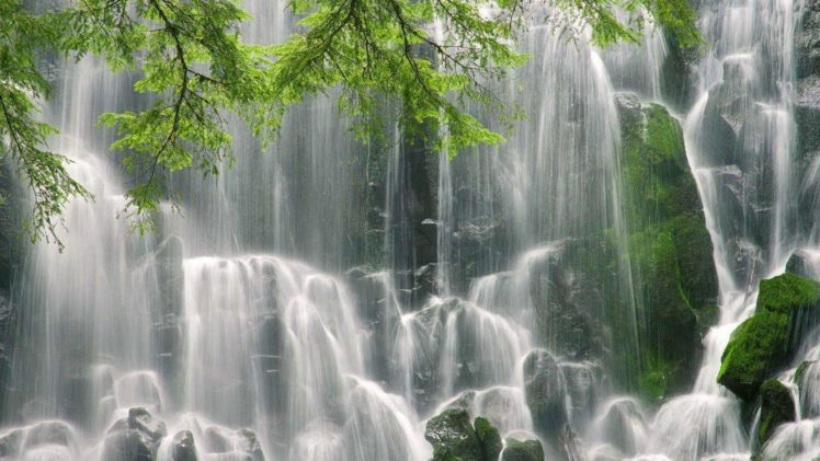 landscapes, Nature, Trees, Waterfalls HD Wallpaper Desktop Background