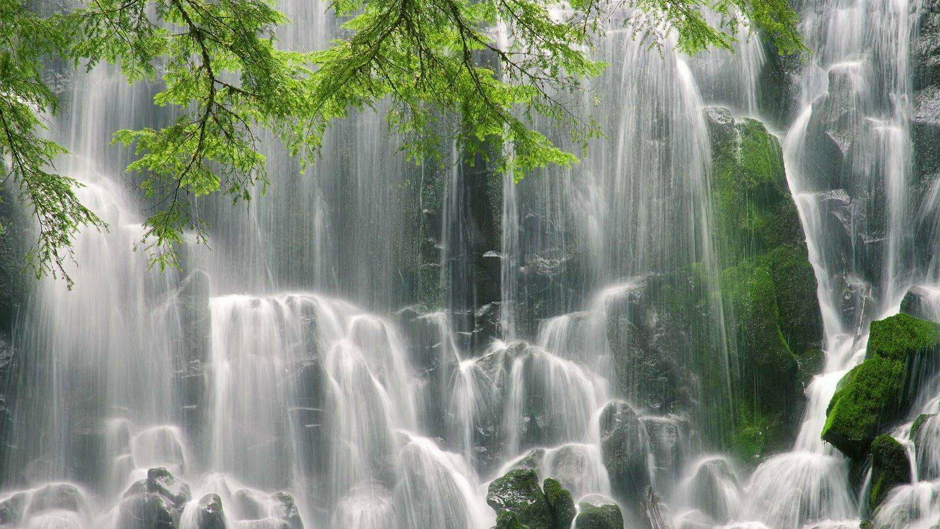 landscapes, Nature, Trees, Waterfalls Wallpaper