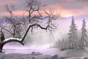 nature, Landscapes, Trees, Forest, Winter, Snow, Seasons, Fog, Mist, Haze, Cold, Freezing, White, Bright, Sunlight, Sun, Sunrise, Sunset, Sky, Clouds, Colors