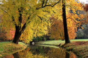 nature, Landscapes, Trees, Canal, Rivers, Stream, Waterway, Water, Reflection, Leaves, Grass, Shore, Autumn, Fall, Seasons, Park, Garden, Color