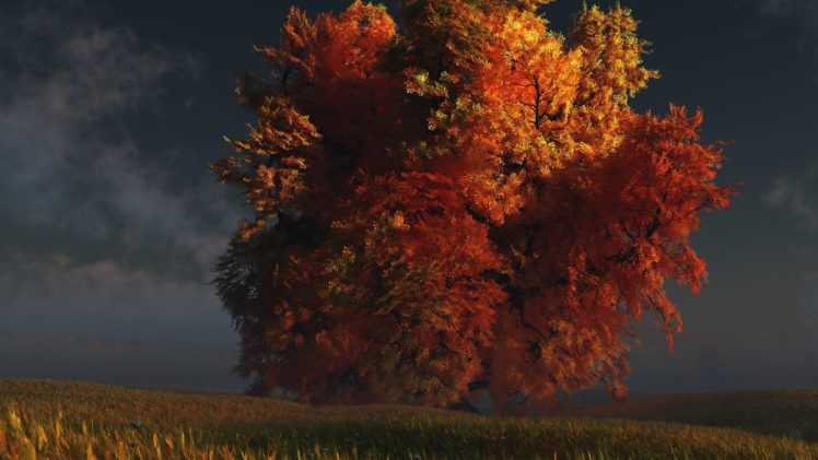 landscapes, Nature, Trees, Leaves HD Wallpaper Desktop Background