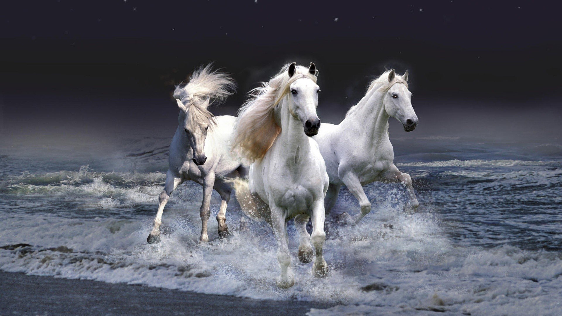 night, Stars, Surface, Surfing, Horses, Photo, Manipulation, Beaches Wallpaper
