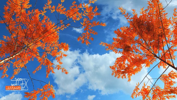 leaves, Maya, Orange, Flowers HD Wallpaper Desktop Background