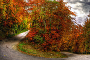 nature, Landscapes, Roads, Path, Trees, Forest, Color, Leaves, Sky, Clouds, Fence, Hdr