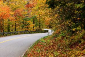 nature, Autumn, Roads