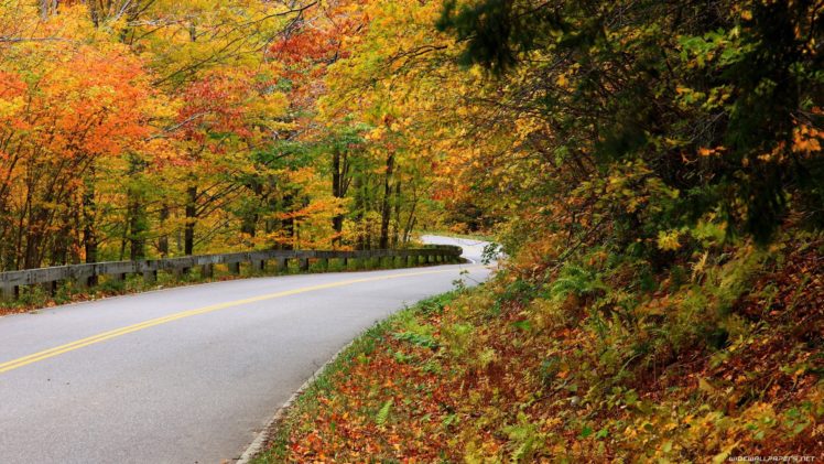 nature, Autumn, Roads HD Wallpaper Desktop Background