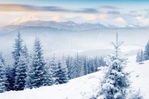 landscapes, Winter, Snow, Trees