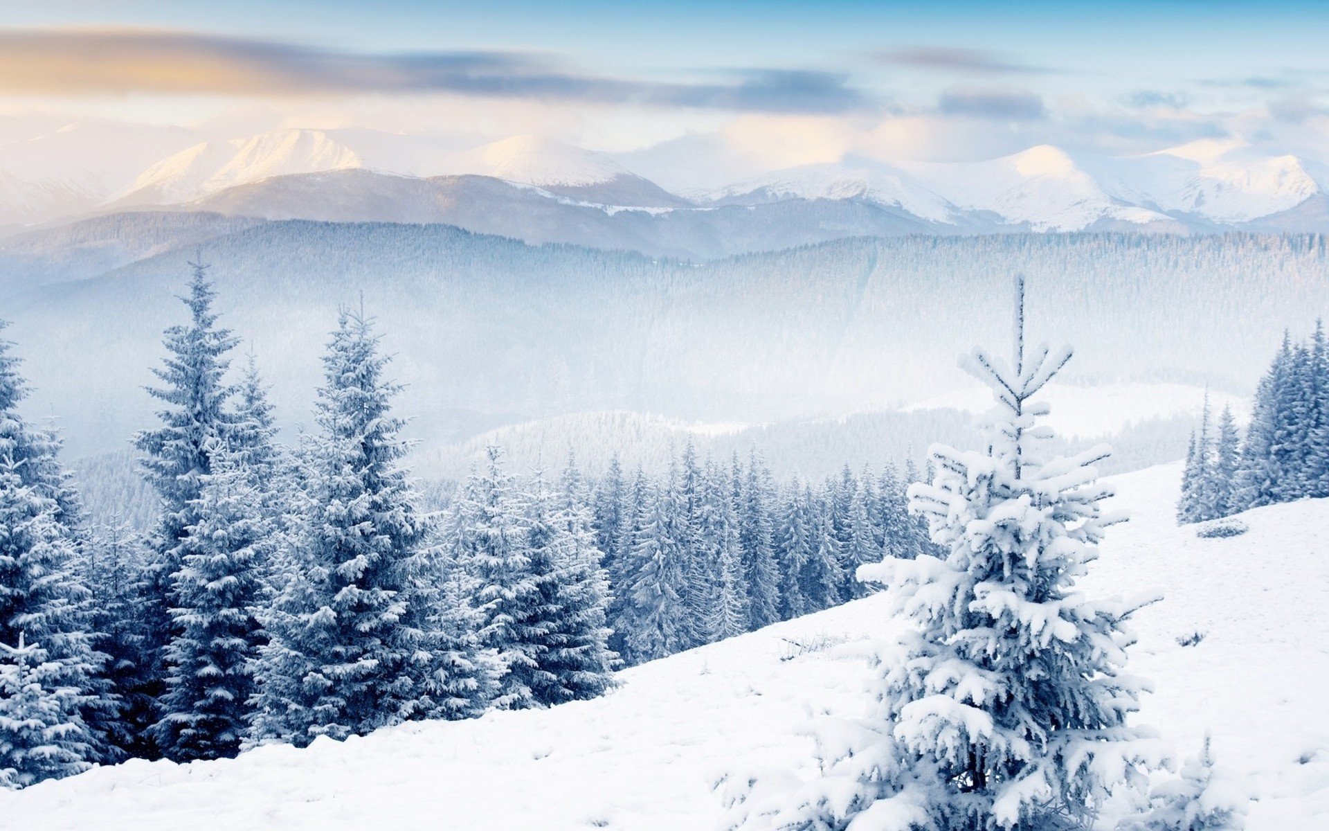 landscapes, Winter, Snow, Trees Wallpaper
