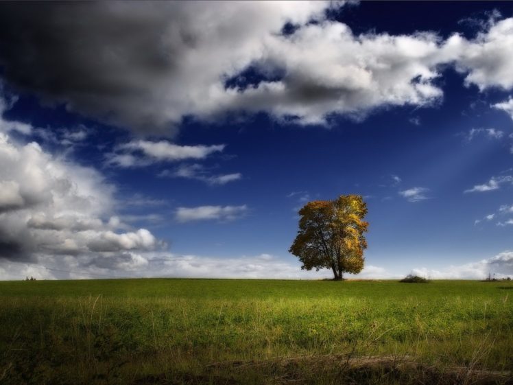 clouds, Nature, Trees, Skylines, Earth, Fields, Outdoors, Plants HD Wallpaper Desktop Background