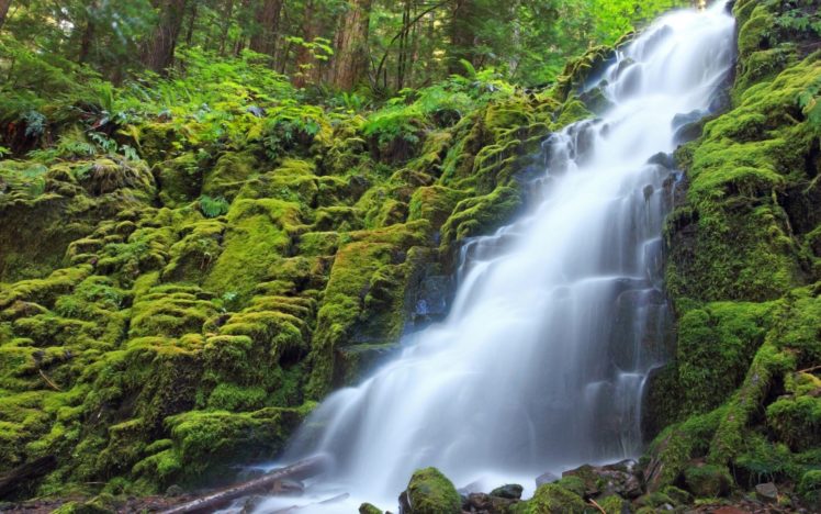 green, Forests, Waterfalls HD Wallpaper Desktop Background