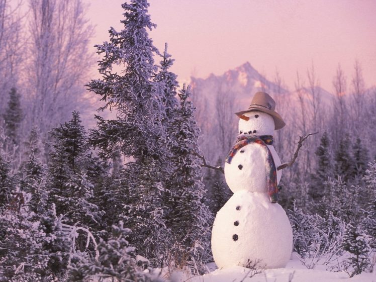 landscapes, Nature, Snowmen, Snow, Landscapes HD Wallpaper Desktop Background