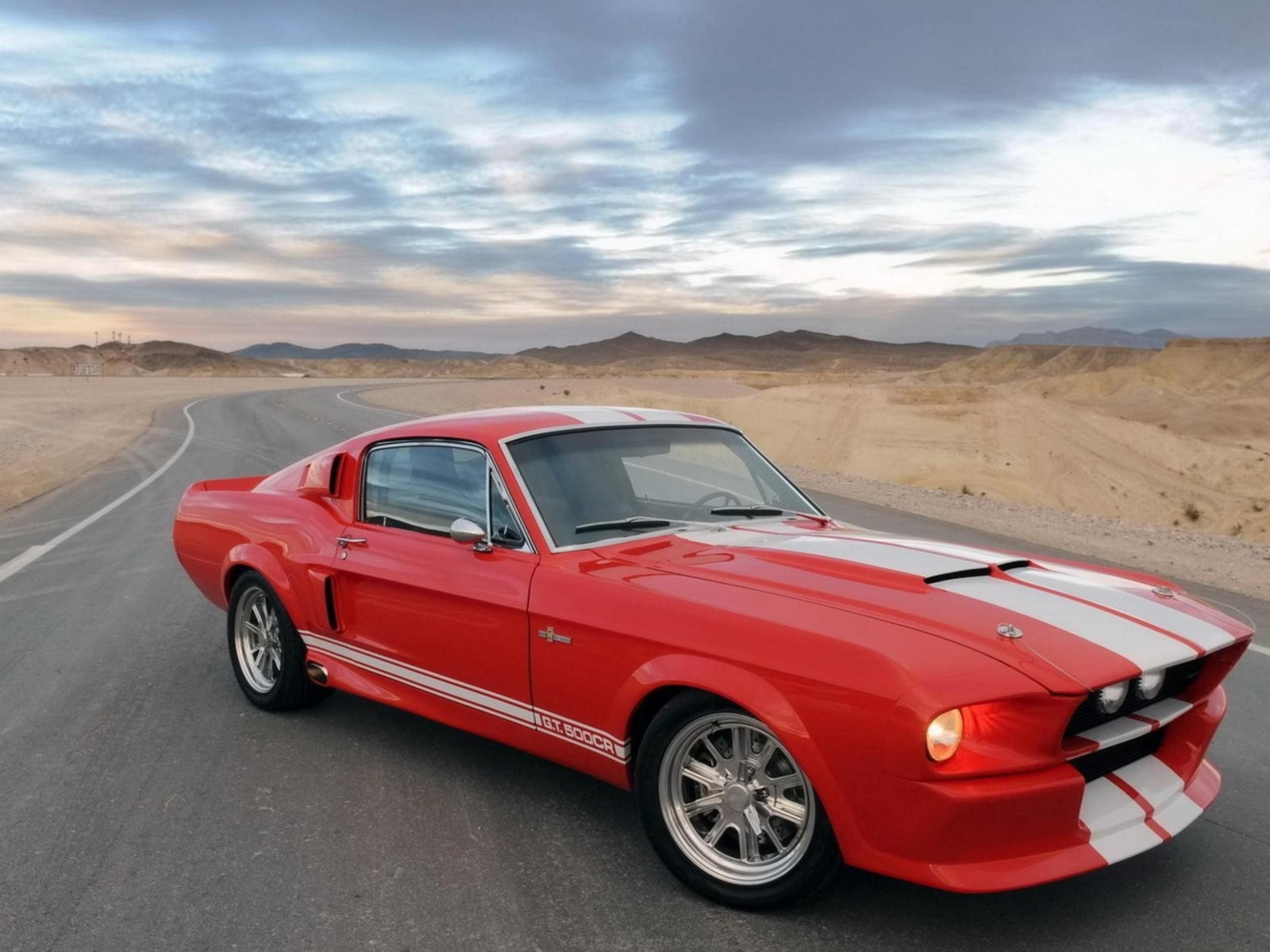 cars, Front, Classic, Racing, Ford, Shelby Wallpaper