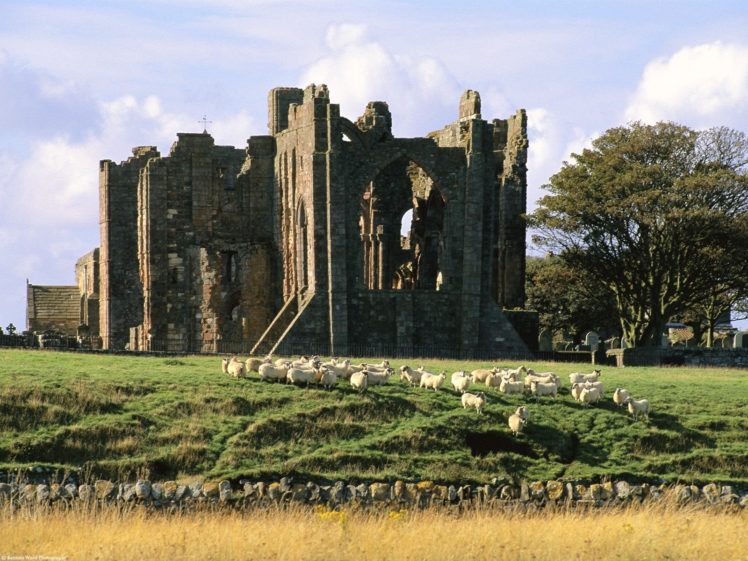 castles, United, Kingdom, Berwick, Upon, Tweed, Northumberland HD Wallpaper Desktop Background