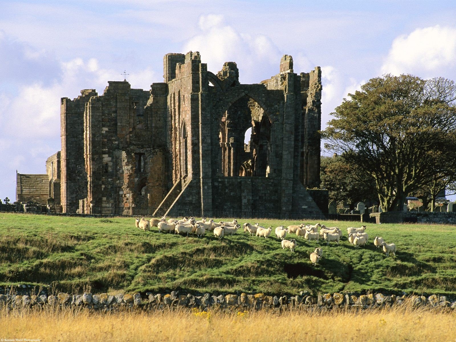 castles, United, Kingdom, Berwick, Upon, Tweed, Northumberland Wallpaper