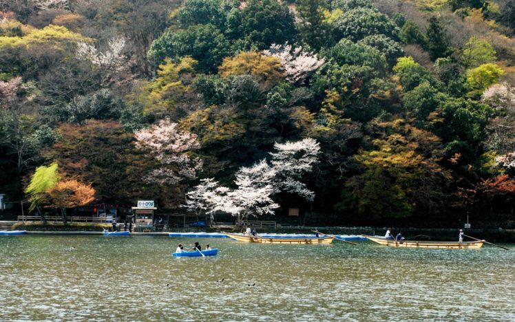 japan, Landscapes, Trees HD Wallpaper Desktop Background