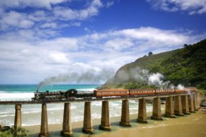trains, Point, Crossing, South, Africa, Steam, Train, Wilderness
