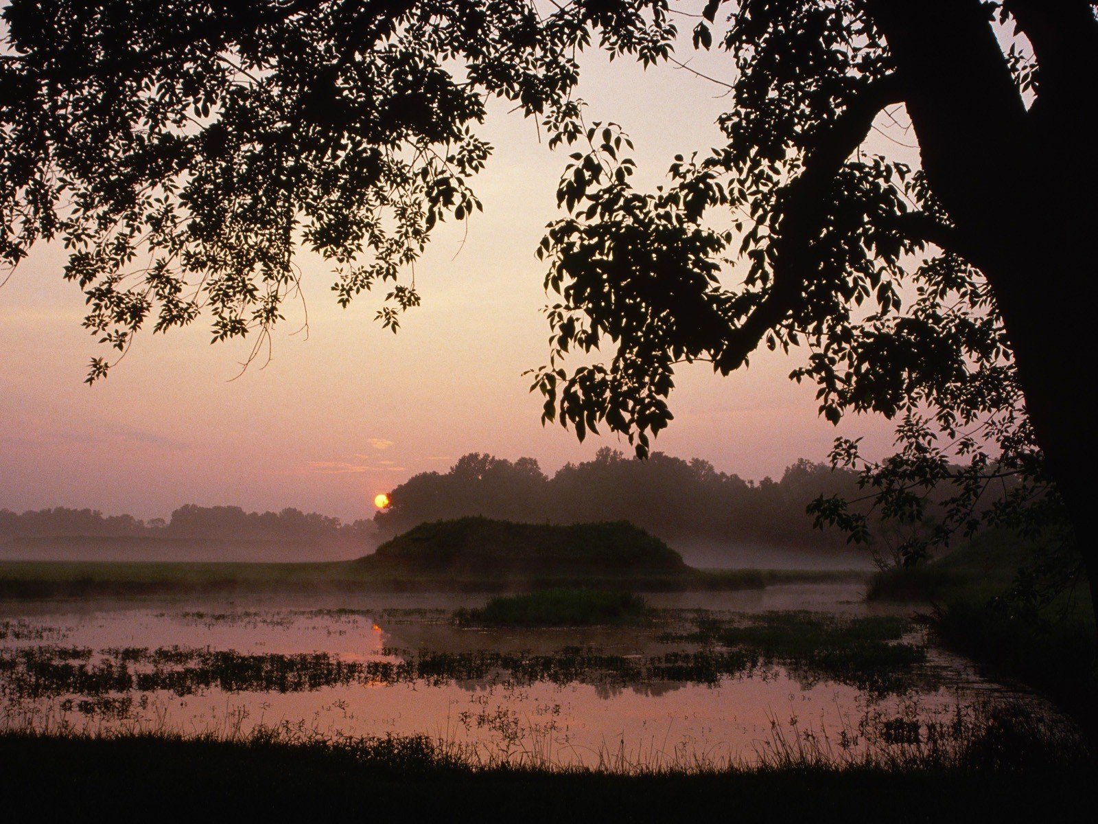sunrise, Landscapes, Nature, Alabama, Parks Wallpaper