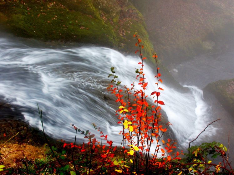 nature, Grass, Waterfalls HD Wallpaper Desktop Background
