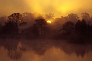 sunrise, Landscapes, Trees, Rivers, South, Carolina