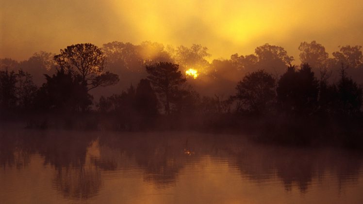 sunrise, Landscapes, Trees, Rivers, South, Carolina HD Wallpaper Desktop Background