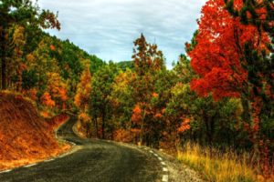 landscapes, Nature, Autumn, Multicolor, Roads