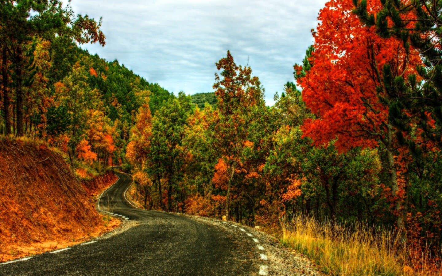 landscapes, Nature, Autumn, Multicolor, Roads Wallpaper