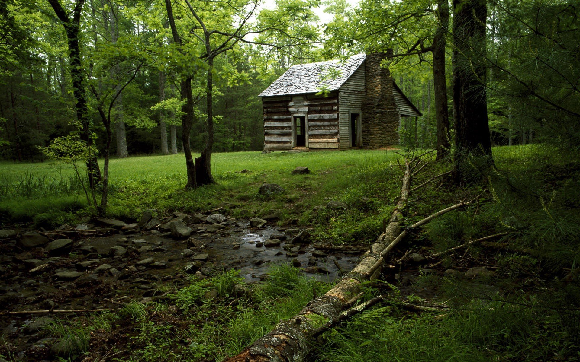 water, Landscapes, Nature, Trees, Wood, Forests, Leaves, Wildlife, Hunter, Rocks, Hut Wallpaper