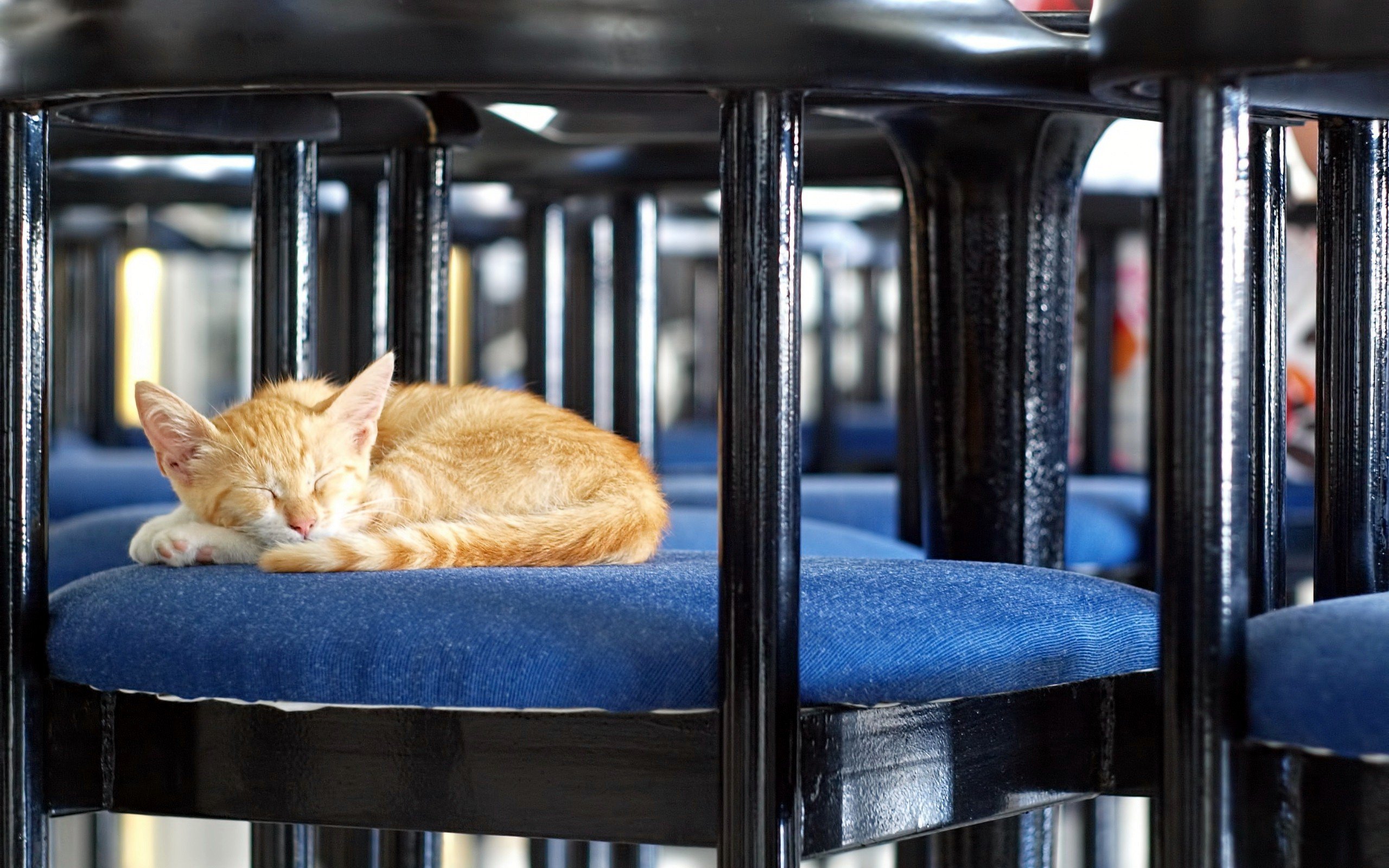 hdr, Photography Wallpaper