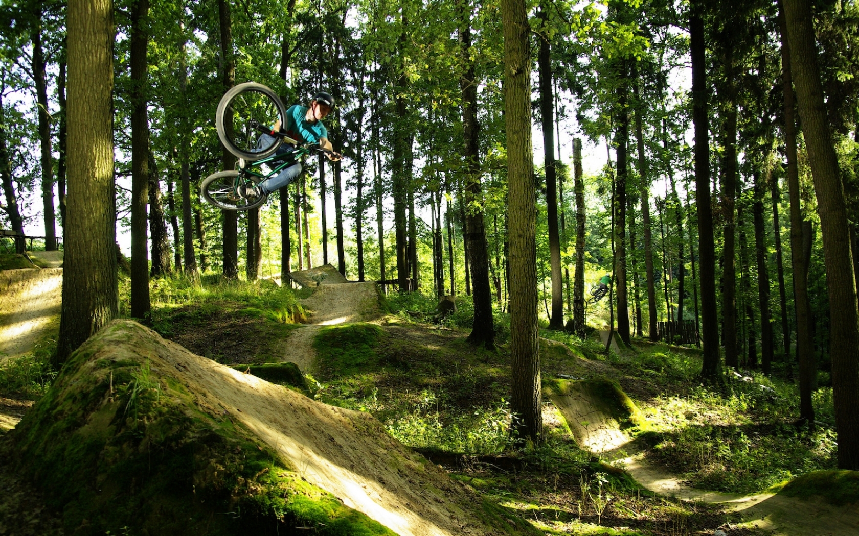 mountain, Biking, Bike, Bicycle, Extreme, Wheels, Track, Racing, Jump, Flight, Fly, Air, Landscapes, Nature, Trees, Forest, Sunlight, Shade, Hills, People Wallpaper