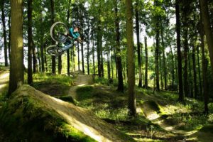 mountain, Biking, Bike, Bicycle, Extreme, Wheels, Track, Racing, Jump, Flight, Fly, Air, Landscapes, Nature, Trees, Forest, Sunlight, Shade, Hills, People
