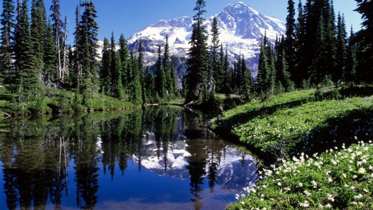 mountains, Night, Mirrors, Lakes, Washington, Mount, Rainier HD Wallpaper Desktop Background