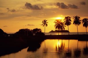sunset, Sunrise, Mexico, Palm, Trees, Resort, North, America, Beaches