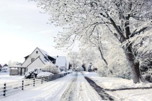 snow, Trees, Houses