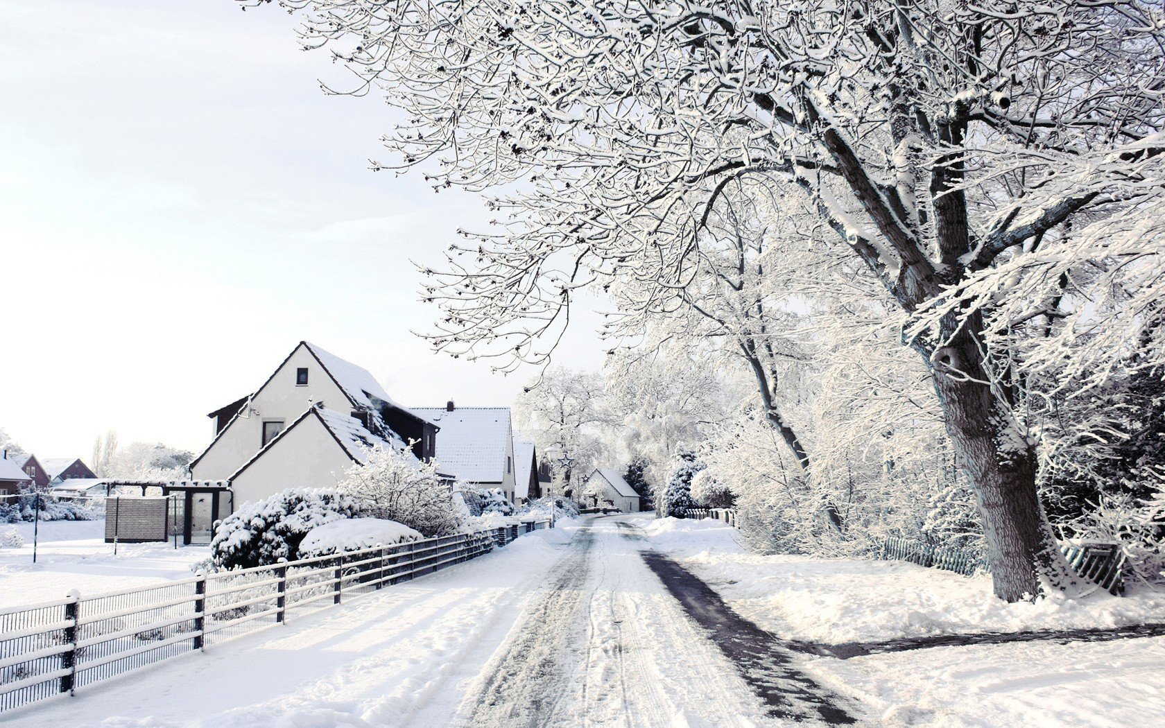 snow, Trees, Houses Wallpaper