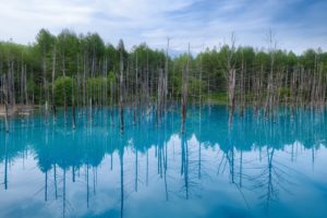 water, Japan, Blue, Landscapes, Nature, Trees, Hokkaido