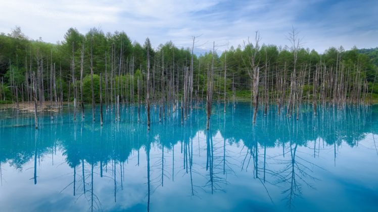 water, Japan, Blue, Landscapes, Nature, Trees, Hokkaido HD Wallpaper Desktop Background