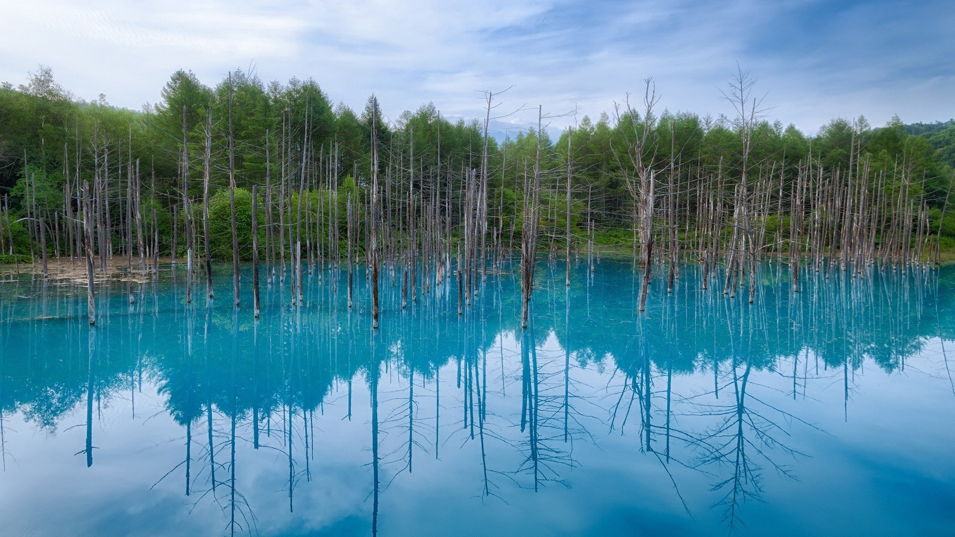water, Japan, Blue, Landscapes, Nature, Trees, Hokkaido Wallpaper