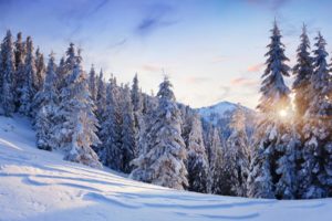 nature, Landscapes, Trees, Forest, Mountains, Winter, Snow, Seasons, Sun, Sunlight, Sky, Clouds, White, Cold