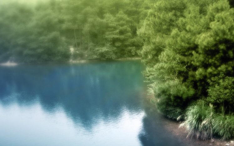 landscapes, Nature, Trees, Forests, Lakes, Reflections, Blurred HD Wallpaper Desktop Background