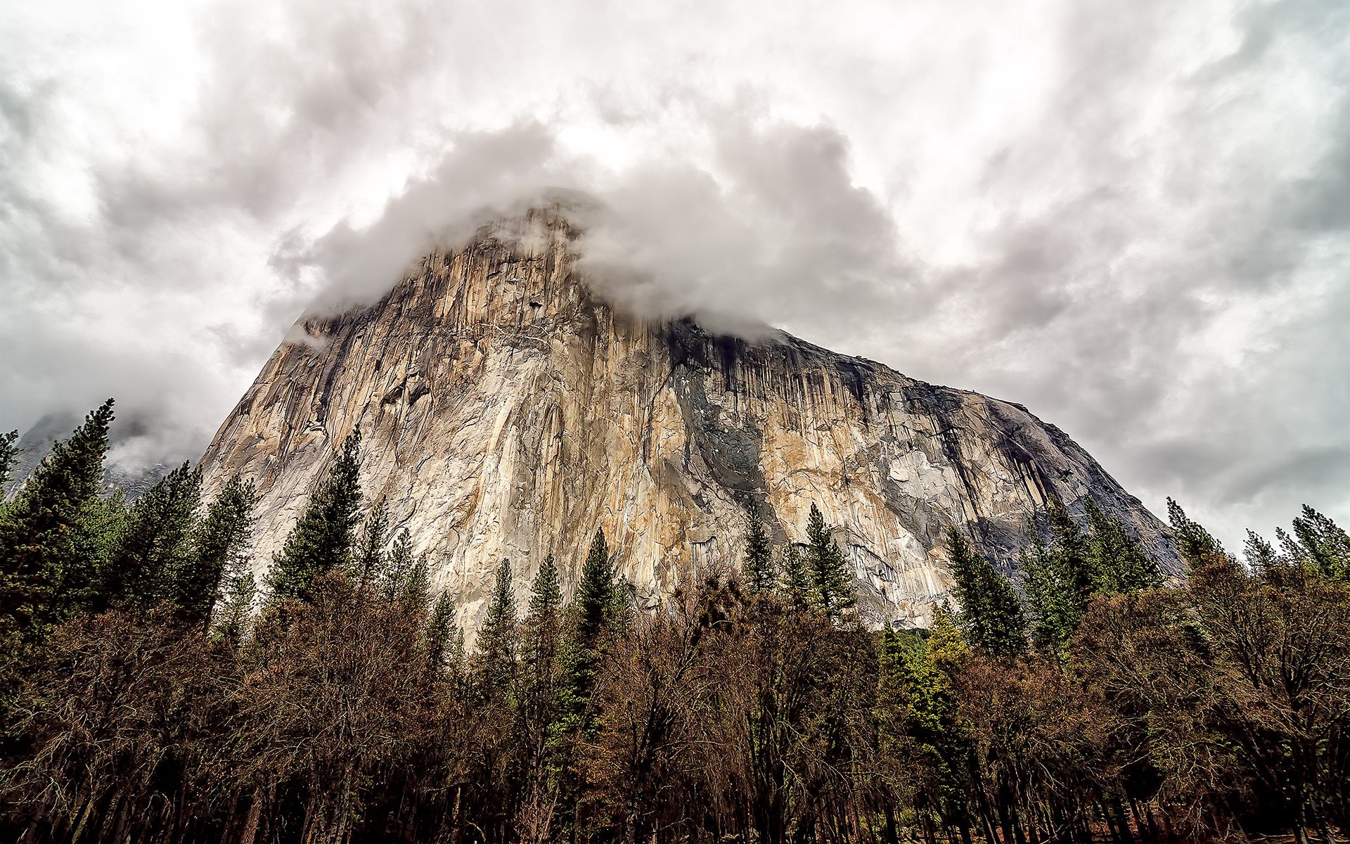 mountains, Clouds, Trees Wallpaper