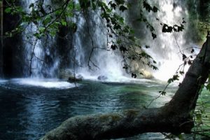 landscapes, Nature, Trees, Waterfalls