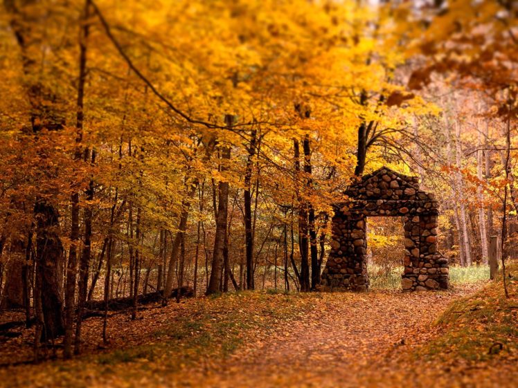 trees, Autumn, Ruins HD Wallpaper Desktop Background