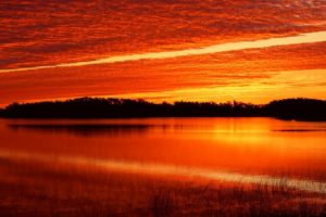 sunrise, Ponds, Florida