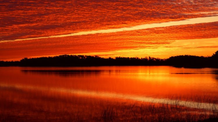 sunrise, Ponds, Florida HD Wallpaper Desktop Background