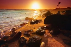 sunset, Sand, Rocks, Scenic, Oceans, Palm, Trees, Waterscapes, Beaches