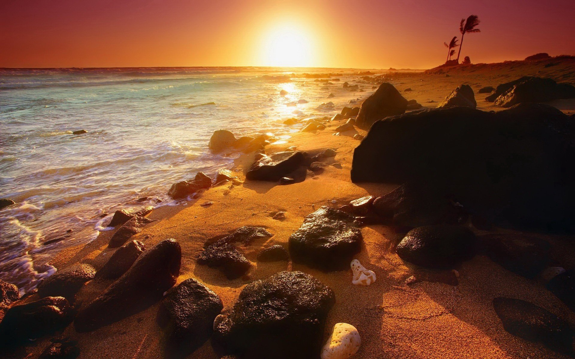 sunset, Sand, Rocks, Scenic, Oceans, Palm, Trees, Waterscapes, Beaches Wallpaper