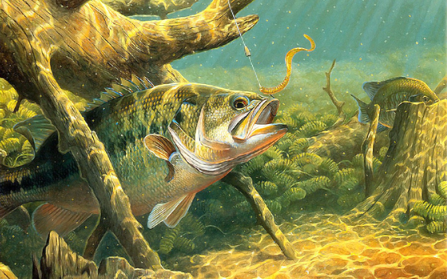 fishing Wallpaper